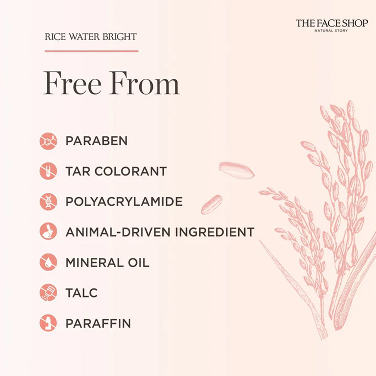 THE FACE SHOP RICE WATER BRIGH - Luxury Skincare Shop recensione e prezzo